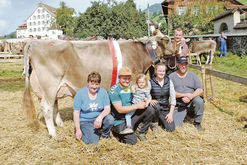 Dank schönem Wetter weniger Auflagen an den Schwyzer Viehausstellungen