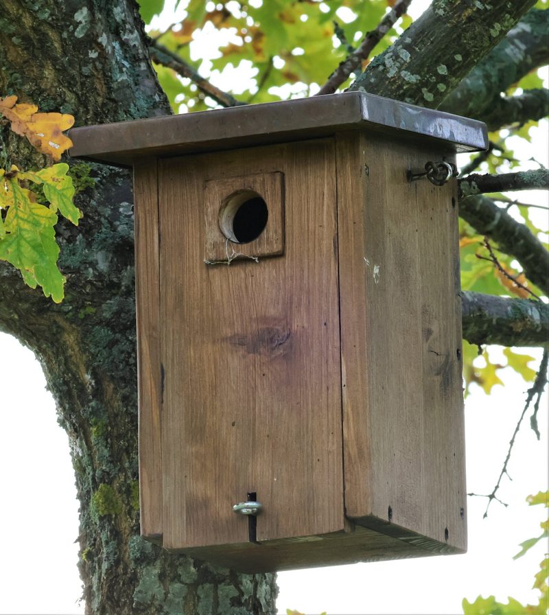 Dank der Bauern brüten die Vögel