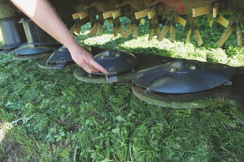 Der Schnitt erfolgt weit vor dem Mähblatt. So ist auch bei verschmutztem Futter ein sauberer Schnitt möglich. Bild: Beat Schmid
