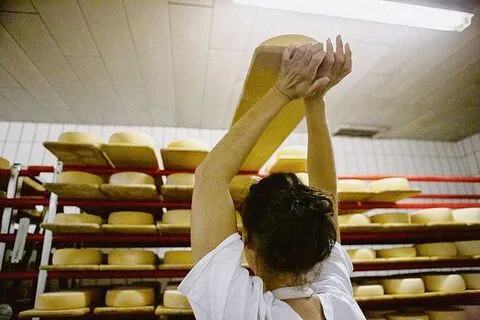 Ergebnis der vielen Arbeit: köstlicher Alpkäse.