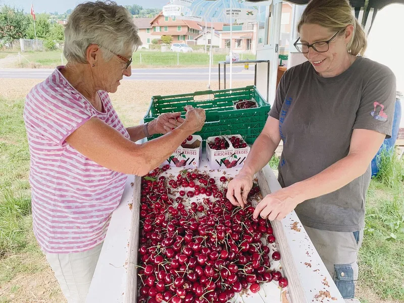 Marlis (l.) und Jolanda Trösch rüsten und verkaufen knackige Kirschen im Verkaufsstand beim Kreisel in Gelfingen LU.