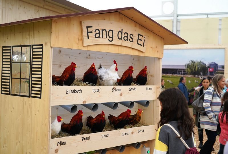 So wichtig ist die Olma