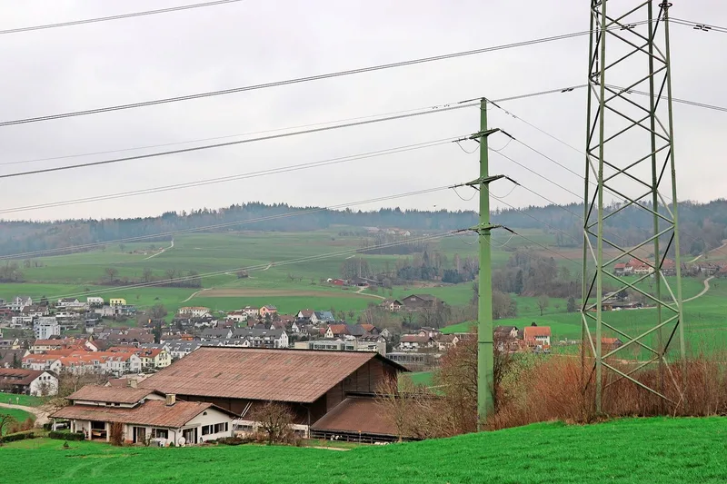 Auf dem Talacherhof kam der Streustrom von den Hochspannungsleitungen via Magnetfeld in den Stall.