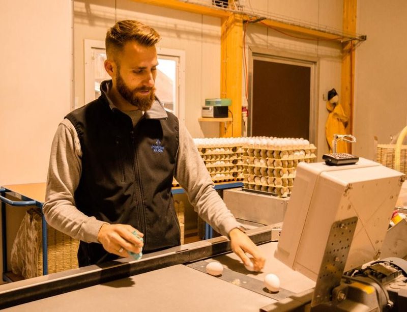 Eier auf Knopfdruck aus dem Automaten