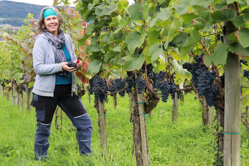 Judith Schödlers Wein schmeckt nach Süden