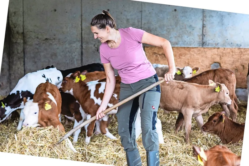 Die Mastkälber kann Anja Hodel in Zusammenarbeit mit der UFA an die Anicom liefern.