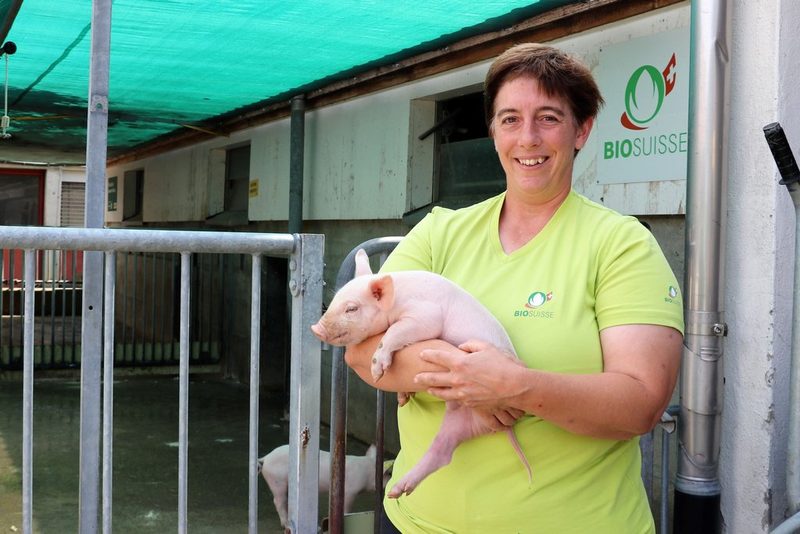 Lernende vom Neuhof liefern die besten Abschlüsse als Landwirt EFZ im Aargau