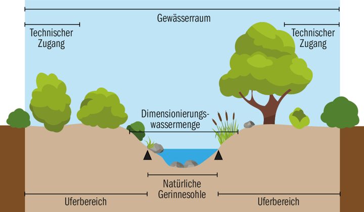 Der Gewässerraum setzt sich zusammen aus den beidseitigen Uferbereichen und der natürlichen Gerinnesohle.