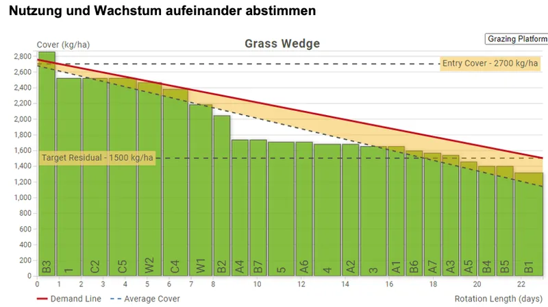 Weidemanagement: Übernutzt sind die Weiden schnell, saniert nicht
