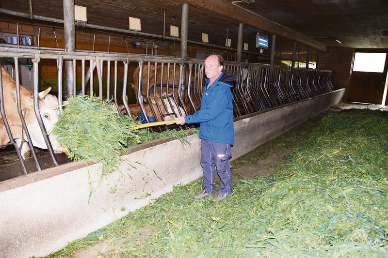 Für Fritz Berger, auch aus Fahrni, steht offen, ob er ab 1.1.2024 noch Milch produzieren will. Er gibt seine Kühe im Sommer auf die Alp und muss im Winter das RAUS trotzdem erfüllen.