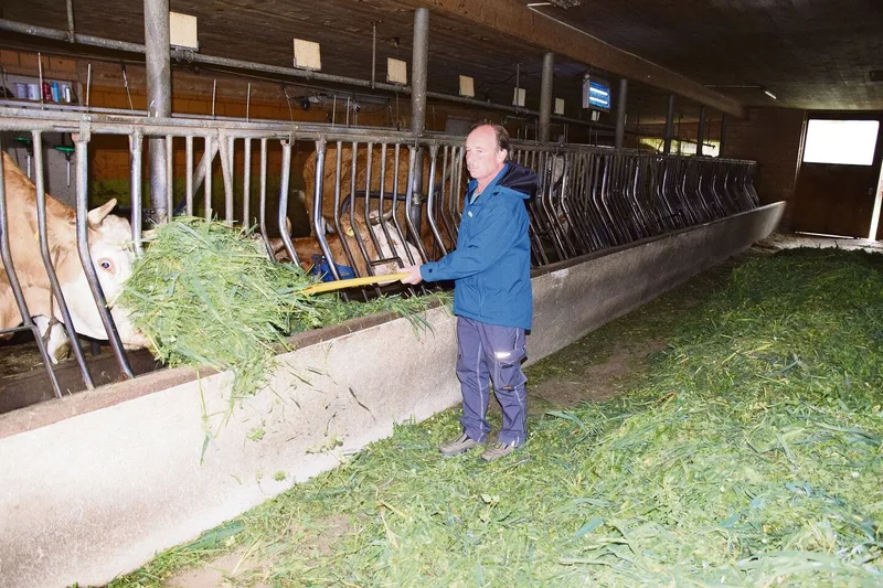 Für Fritz Berger, auch aus Fahrni, steht offen, ob er ab 1.1.2024 noch Milch produzieren will. Er gibt seine Kühe im Sommer auf die Alp und muss im Winter das RAUS trotzdem erfüllen.