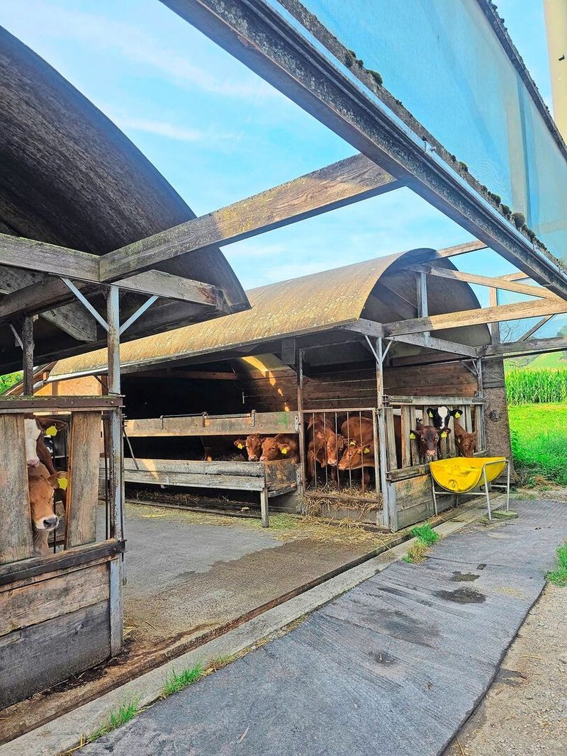 Selfmade-Unterstände aus alten Silos bieten den Fressern viel Frischluft, was gut für den Keimdruck ist.