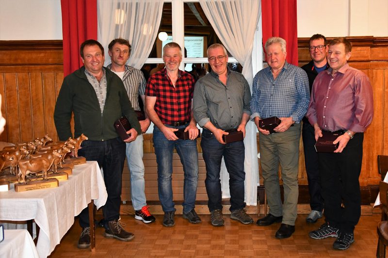 Die Braunviehkuh würde im Skisport den Gesamtweltcupsieg gewinnen