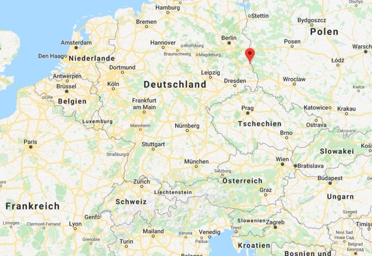 Vogelgrippe bei deutscher Wildgans nachgewiesen