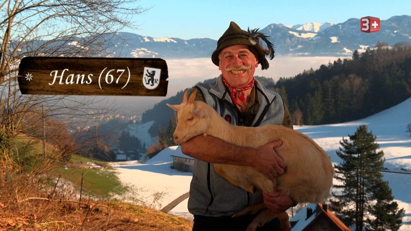 Diese sieben Bauern suchen diesen Sommer ihr Liebesglück bei «Bauer, ledig, sucht ..»