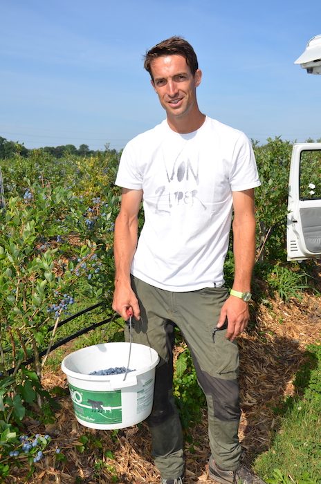 Superfood: Einheimische Beeren versprechen gesunde Ernährung