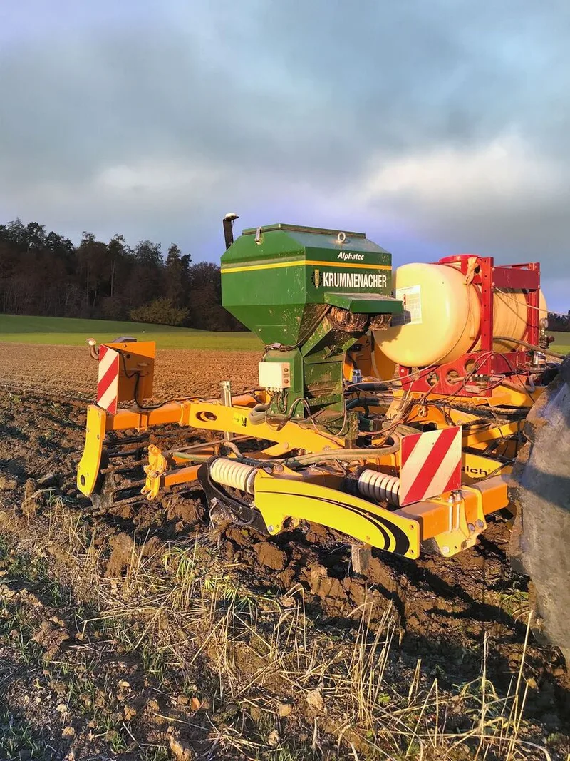 Je nach Bodenzustand wird das Wintergrün mit dem Grubber ...
