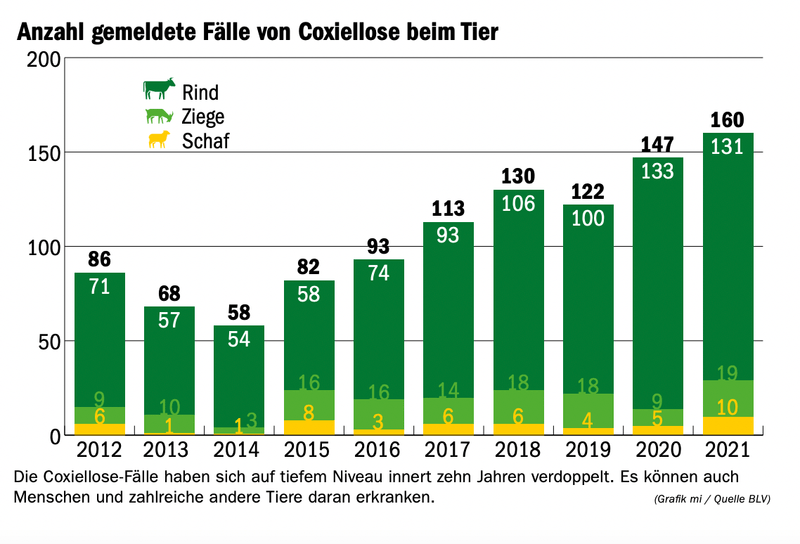 Ein bakterieller Infekt ist auf dem Vormarsch. Wo kommt er her?