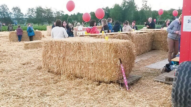 Die Singles haben während einer Stunde Zeit, sich kennenzulernen – sowohl beim Strohballentreff als auch beim Erdbeerpflücken.