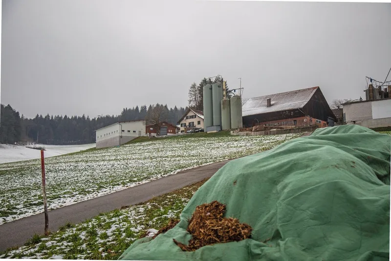 Oliver Liechti änderte nach der Erosion nicht nur die Bodenbearbeitung, sondern kompostiert den Mist. Der Boden wird dadurch aktiver und stabiler.