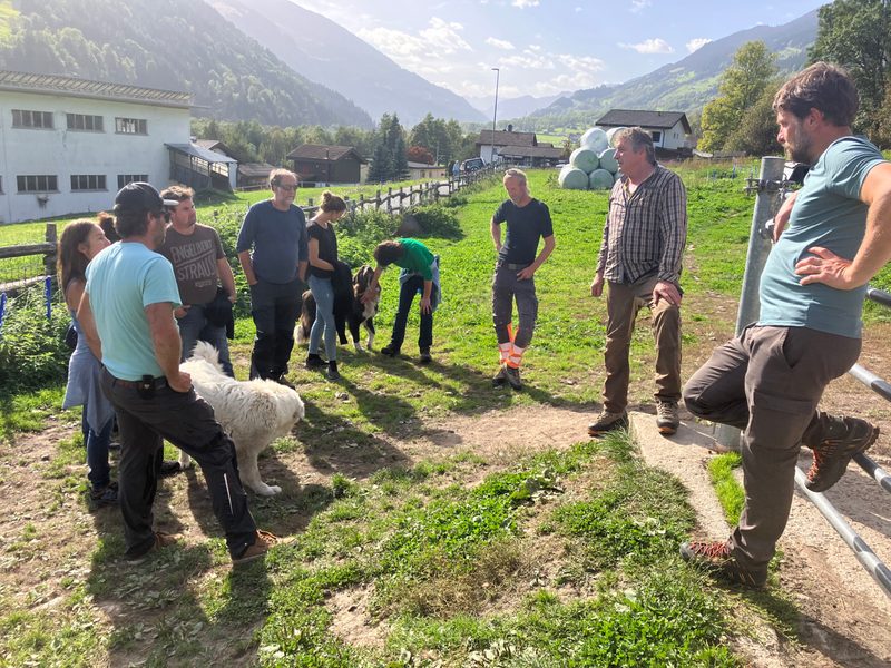 «Es gibt Hunde, die heulen, wenn sie nicht bei ihrer Lieblingskuh sein können»