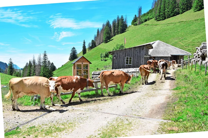 «Unser Traum ist ein eigener Betrieb»