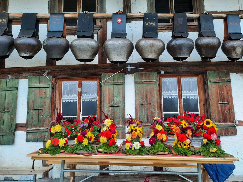 Amylou geht im Sommer ins Gasteretal auf die Alp