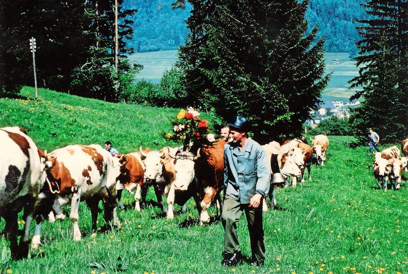Die Züglete: Am 26. Mai 1977 ging es von Courtelary hinauf aufs Twannbergli. Drei Stunden dauert der Fussmarsch. Bis heute ist die Züglete ein grosser Höhepunkt der Familie Bühler.