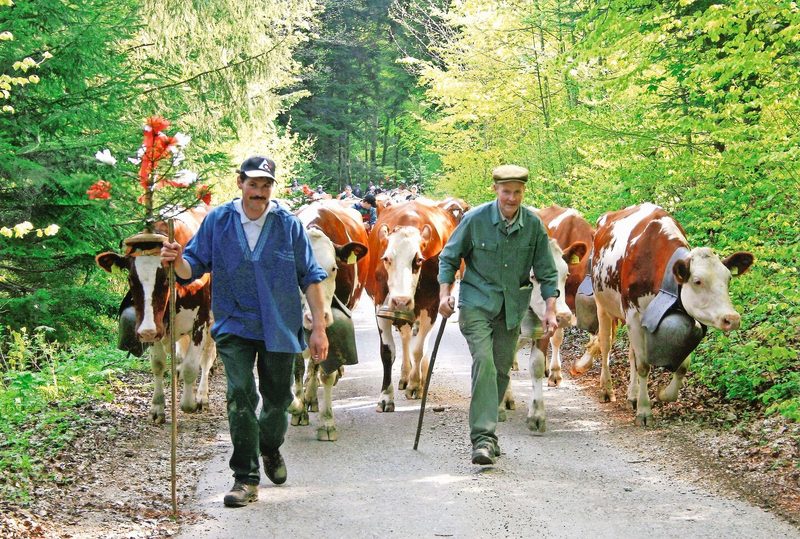 Alfred (r.) und sein Sohn Daniel Bühler bei der Alpauffahrt.