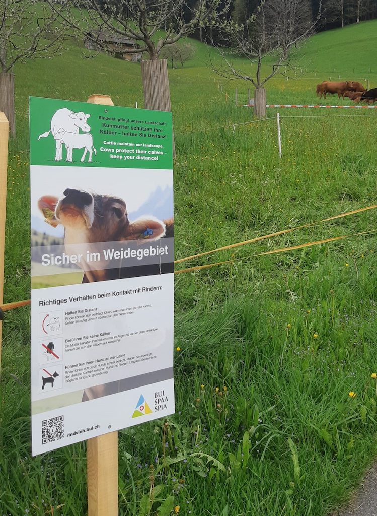 BUL bietet überarbeiteten Lehrpfad und Infotafel zum sicheren Wandern im Weidegebiet an