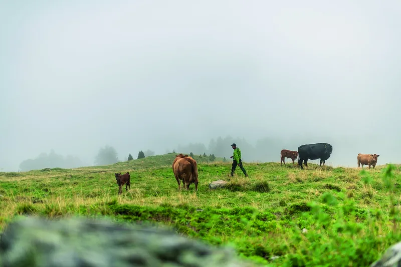 Young Farmer Nando Neuhäusler: Das Bündner Energiebündel
