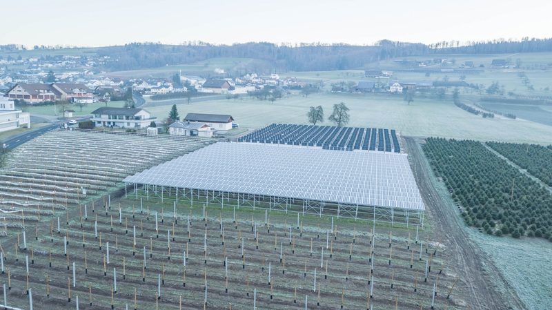Heinz Schmid kombiniert Himbeeren mit Solarstrom