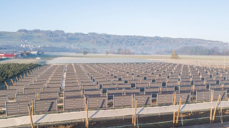 Heinz Schmid kombiniert Himbeeren mit Solarstrom