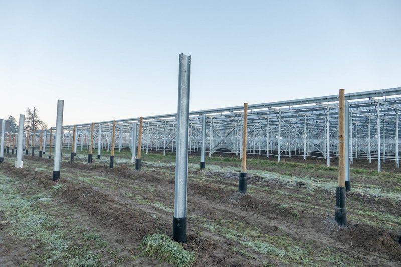 Heinz Schmid kombiniert Himbeeren mit Solarstrom