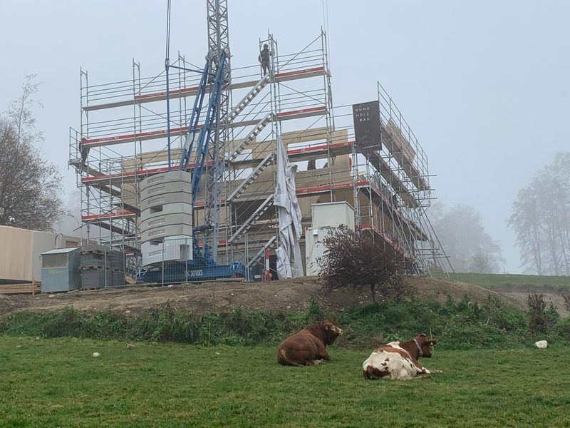 Ein Holzbau lohnt sich – wie eine langlebige Kuh, findet Familie Kottmann