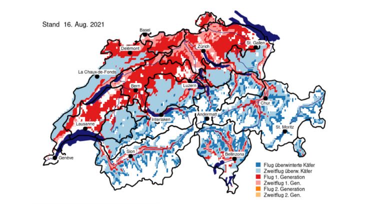 Ausfälle beim Honig, Verschnaufpause im Wald und Mücken im Hoch – der verregnete Sommer wirkt unterschiedlich