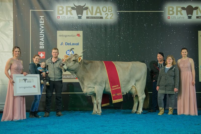 Die Original Braunen haben etwas erreicht, was seinesgleichen sucht