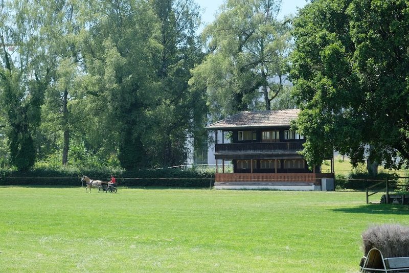 Der Berner Springgarten beim Nationalen Pferdezentrum wird überbaut – NPZ gibt sich vertrauensvoll