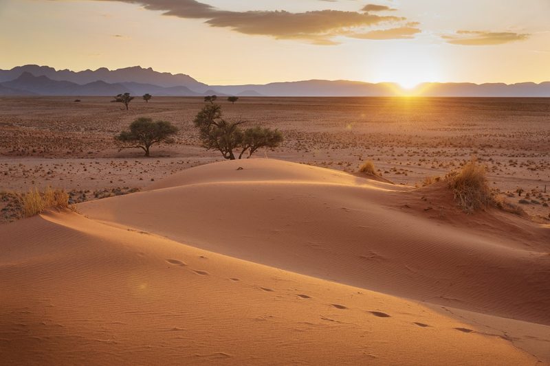 Namibia – Faszinierende Tierwelt und facettenreiche Landwirtschaft