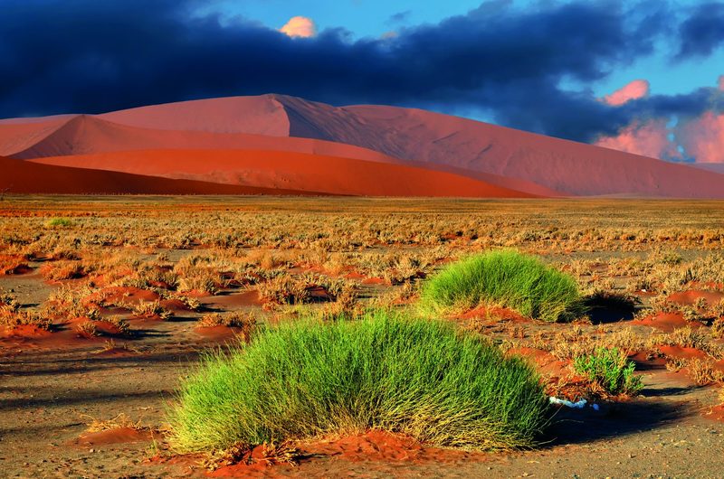 Namibia – Faszinierende Tierwelt und facettenreiche Landwirtschaft