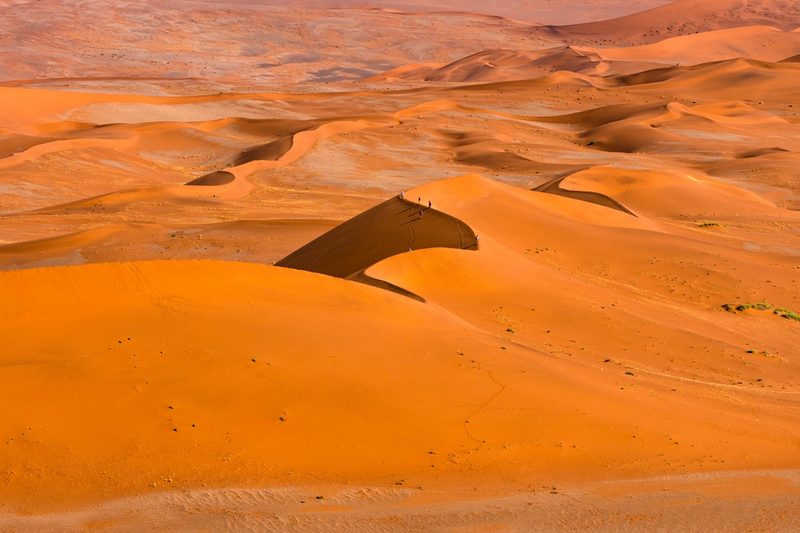 Namibia – Faszinierende Tierwelt und facettenreiche Landwirtschaft