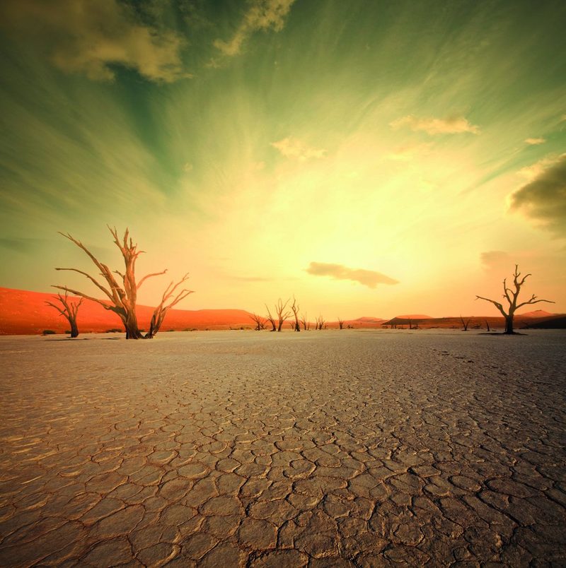 Namibia – Faszinierende Tierwelt und facettenreiche Landwirtschaft
