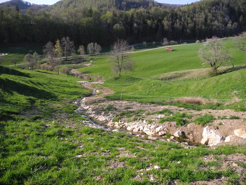 Die Schweiz wird langsam vom Wasserschloss zum Wasserhüsli