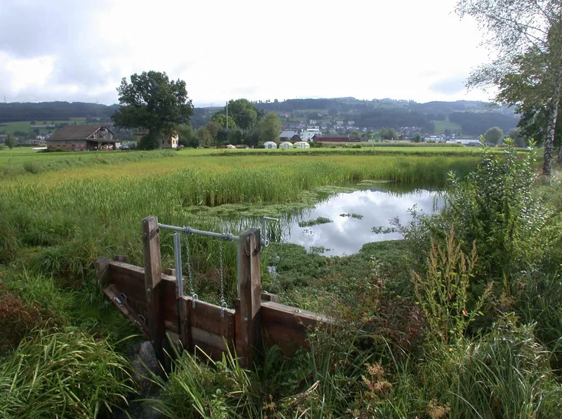 Die Schweiz wird langsam vom Wasserschloss zum Wasserhüsli