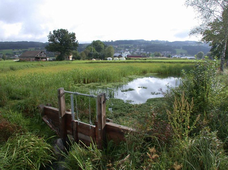 Die Schweiz wird langsam vom Wasserschloss zum Wasserhüsli