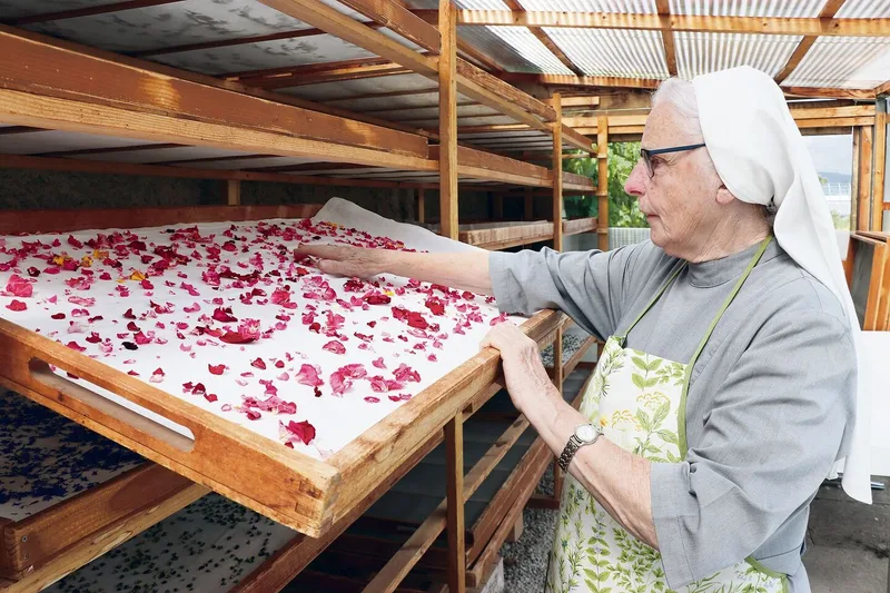 Rosenblütenmeer: Nach der Ernte kommen die Kräuter und Blumen ins Trockenkämmerlein.