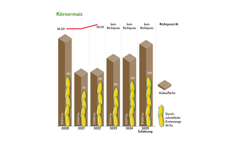 Die Anbaufläche von Körnermais ist gegenüber 2024 um rund 3000 ha gestiegen. 2020 und 2025 wurde teilweise auch Silomais als Körnermais gedroschen.