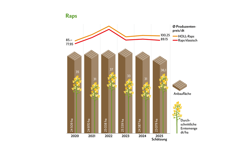 Die Preise bei Raps klassisch blieben gegenüber 2024 stabil, während sie beim HOLL-Raps um Fr. 1.85 erhöht wurden.