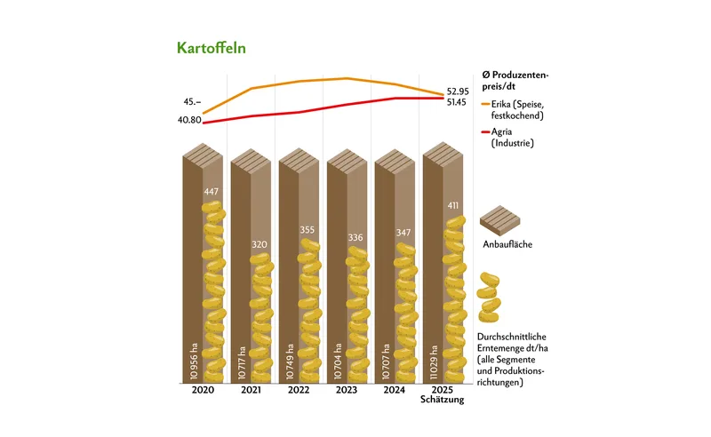Aufgrund der hohen Erträge wurden die Preise innerhalb des Preisbandes bei Speisekartoffeln leicht gesenkt. Die Preise bei den Industriekartoffeln blieben stabil.