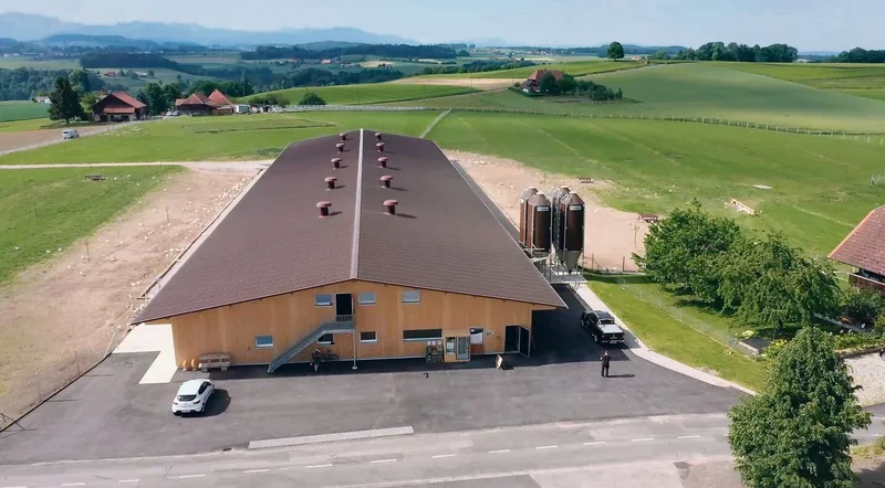 «Unsere Legehennen sind kleine Spitzensportlerinnen»